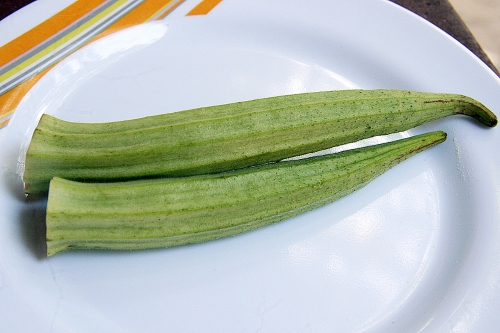 Growing Okra-Tips and Techniques 
